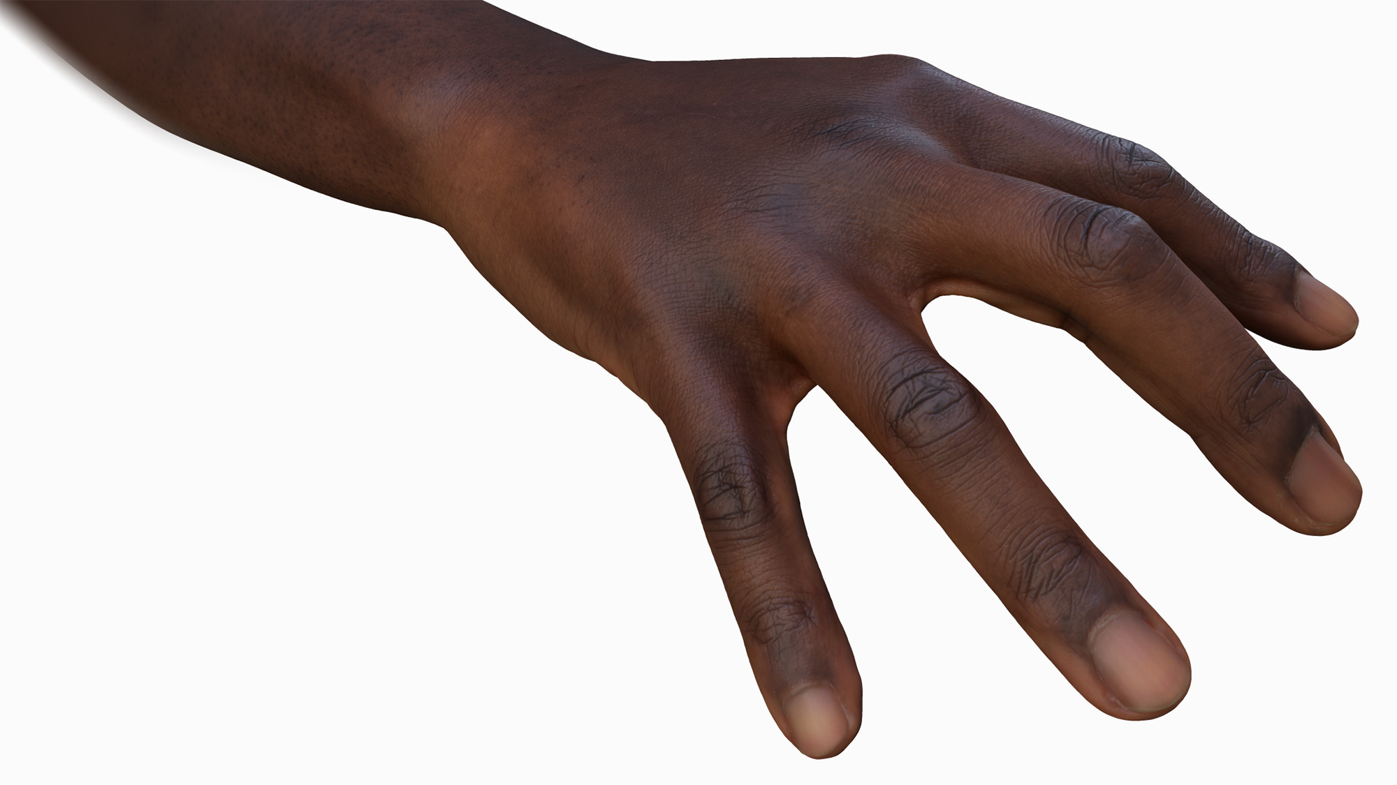 Black 3D Male hand model
